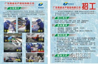 廣東雨嘉水產食品急聘電工、品管及普工，誠邀加入！